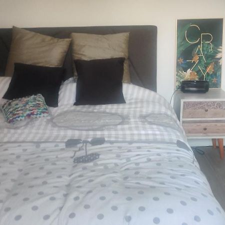 Logement Cosy Neuf Avec Jardin Mions Eksteriør billede